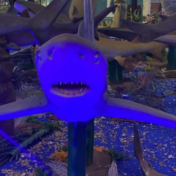 Eliane Sena na Expo Sharks no Parque Shopping Maia